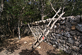 DSC06108 -1_t.jpg